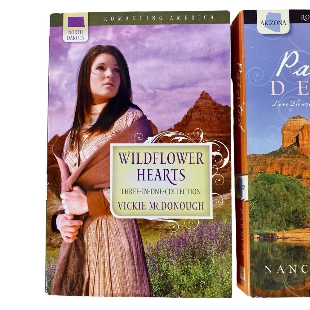 North Dakota Arizona Delaware Romance Novels Set of 3 Romance Paperback Books